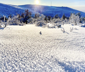 Kaunista, mutta petollista. Lumisateiden jälkeisillä pakkasilla on muodostunut pintakuuraa. Kuva: Ylläs ski patrol