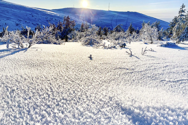 Kaunista, mutta petollista. Lumisateiden jälkeisillä pakkasilla on muodostunut pintakuuraa. Kuva: Ylläs ski patrol