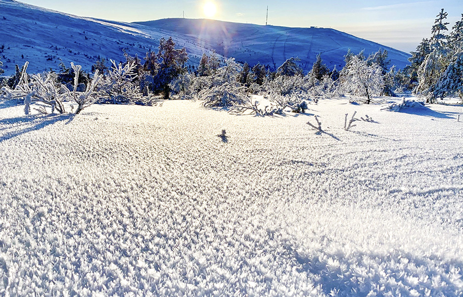 Kaunista, mutta petollista. Lumisateiden jälkeisillä pakkasilla on muodostunut pintakuuraa. Kuva: Ylläs ski patrol