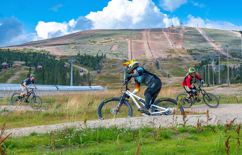 Ylläs nappasi toistamiseen Vuoden Bike Park -tittelin. Viime vuoden palkintoa ei ole jääty juhlimaan, vaan kaivinkoneen puikkoihin ja haravan varteen tartutaan hanakasti. Reitit ovat kunnossa, olosuhteita kehitetään jatkuvasti ja palvelutaso pysyy korkealla.